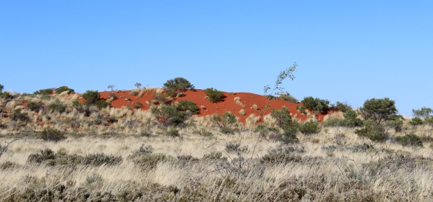 Great Sandy Desert, Australia | Projects