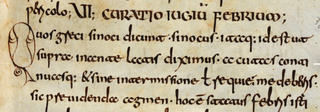Einsiedeln Stiftsbibliothek ms. 304 fol. 5 recto Latin manuscript 8th-9th century.