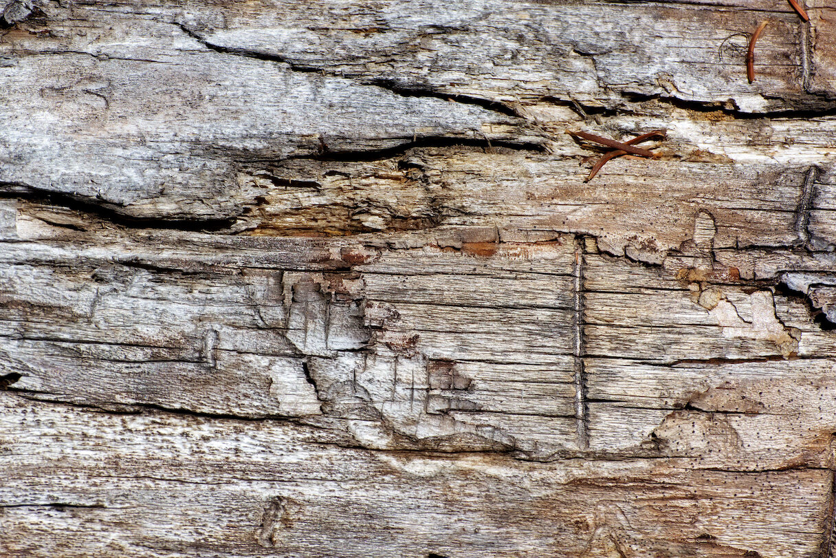 wood surface